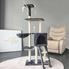 Cat Climbing Frame