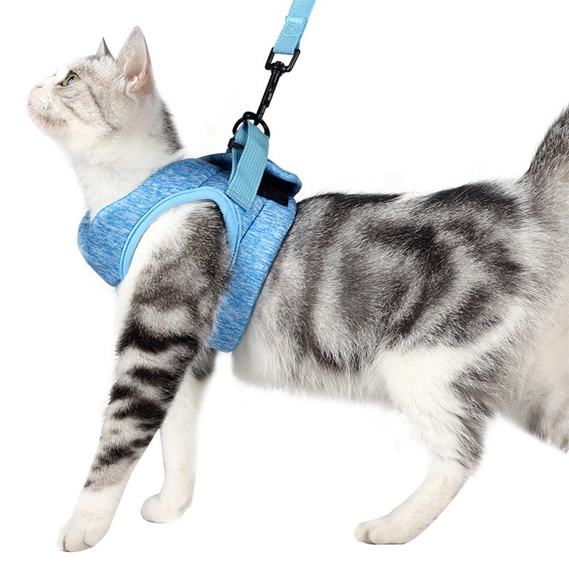 Cat Leash Set