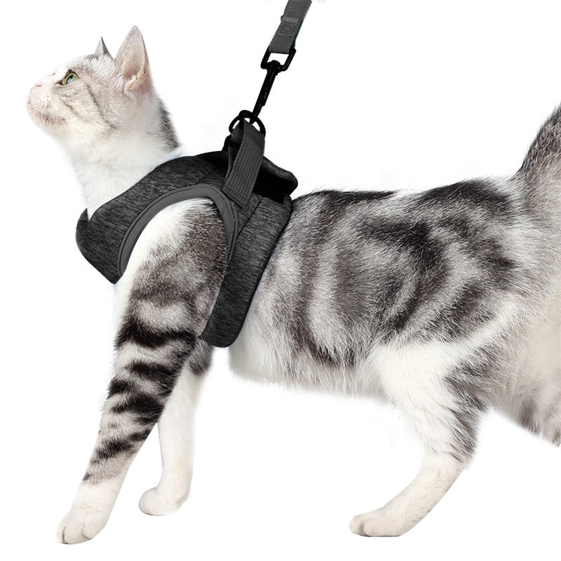 Cat Leash Set