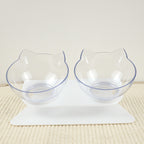 Pet Feeding Bowl