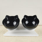 Pet Feeding Bowl