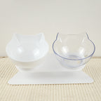 Pet Feeding Bowl