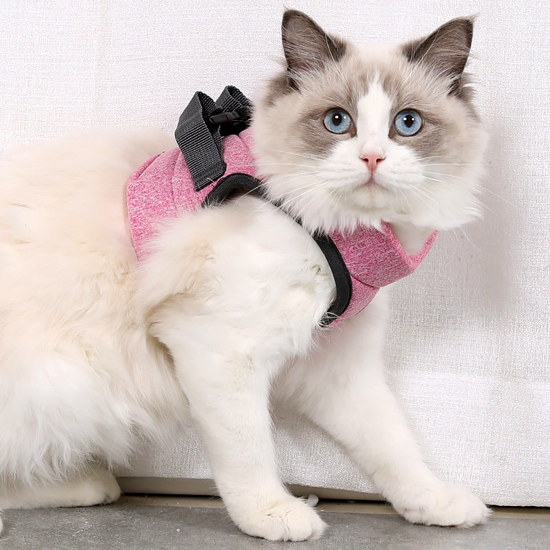 Cat Leash Set