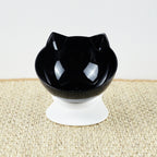 Pet Feeding Bowl