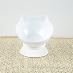 Pet Feeding Bowl