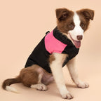 Pet Vest Ski Suit