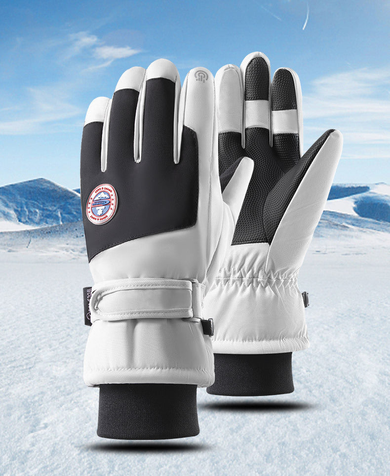 Winter Gloves