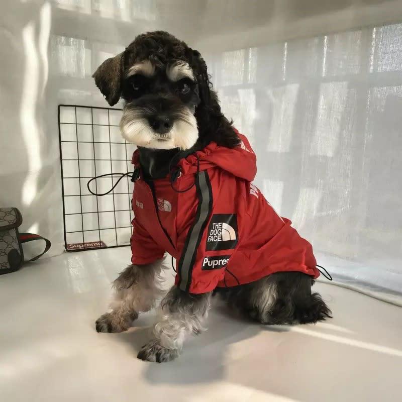 The Dog Face Raincoat Jacket