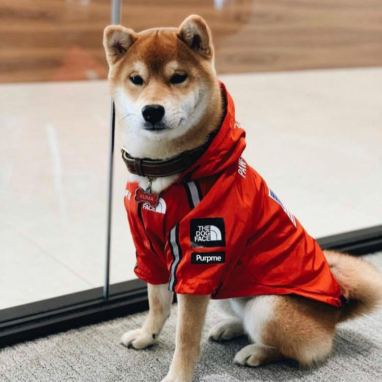 The Dog Face Raincoat Jacket