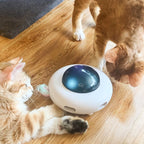 Cat Toy UFO