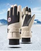 Winter Gloves