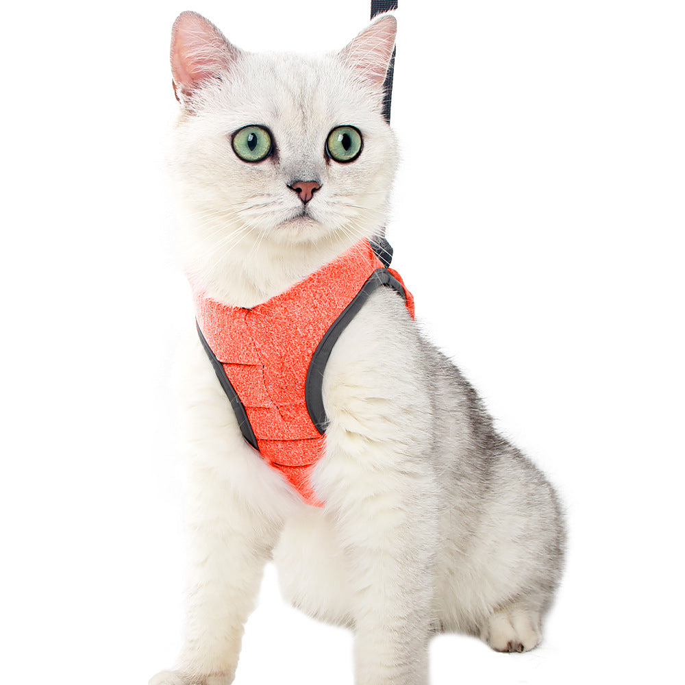 Cat Leash Set