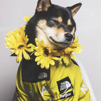 The Dog Face Raincoat Jacket