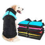 Meet Up Waterproof Dog Winter Jacket